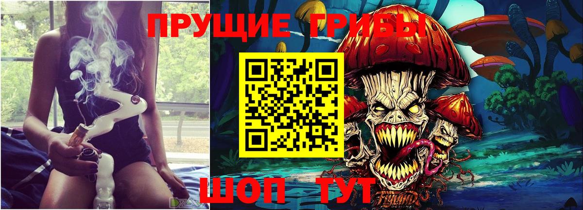 Псилоцибиновые грибы ЛСД  Вход с VPN  Псилоцибиновые грибы Magic Shrooms  купить закладку  Нальчик 